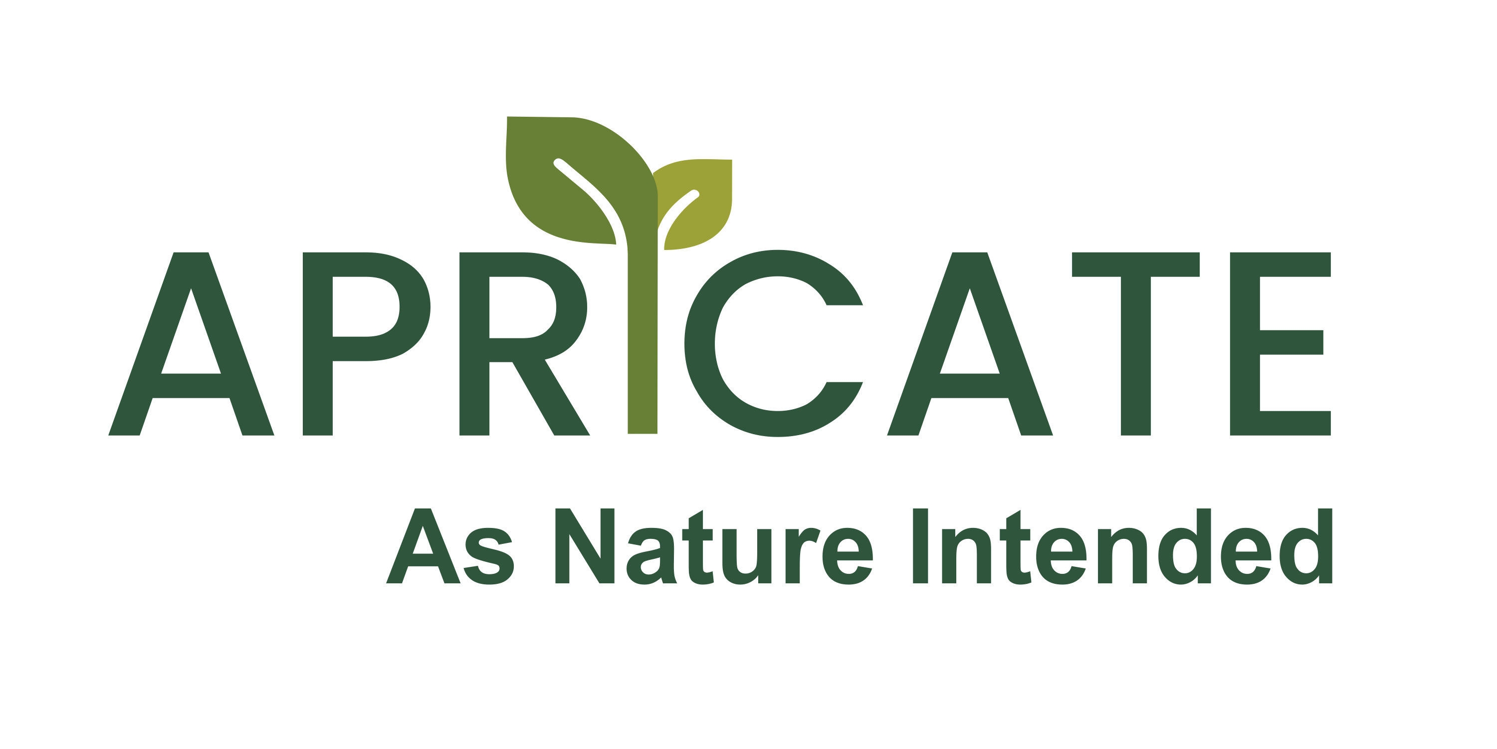 Apricate